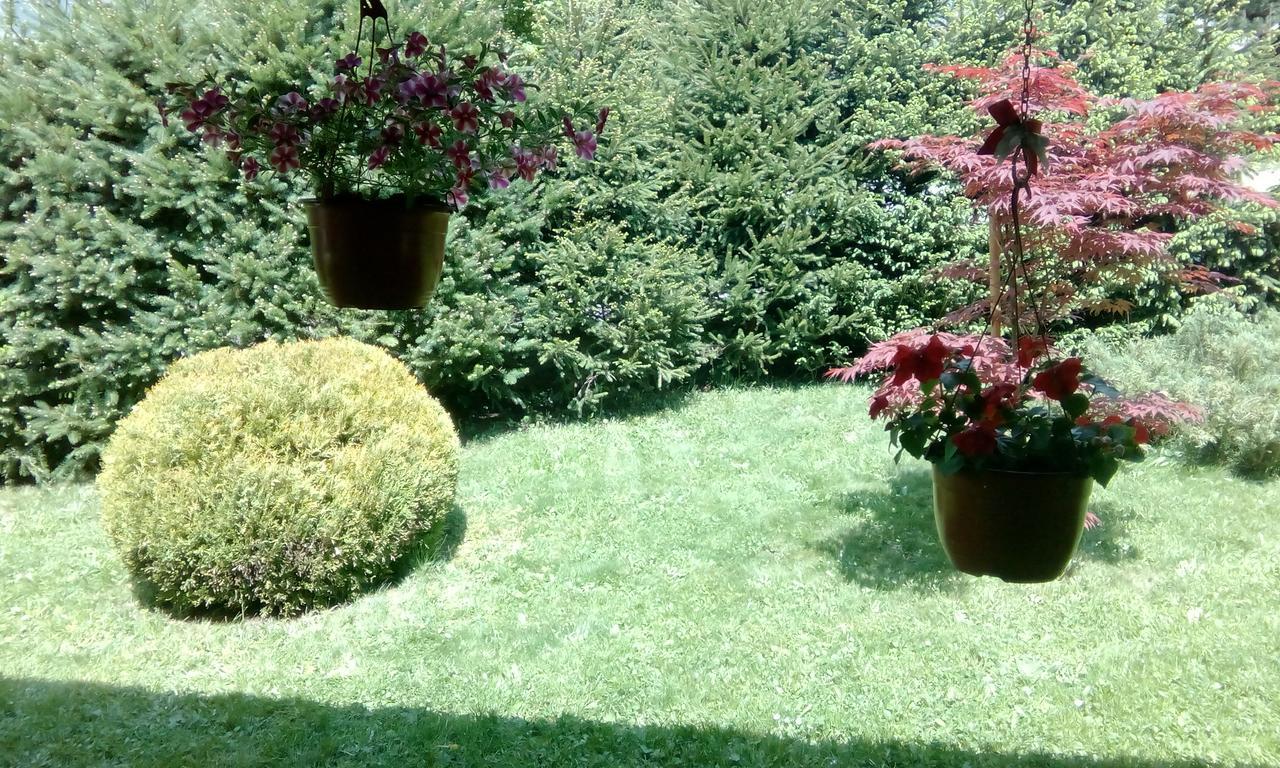 Apartmani Nais زلاتيبور المظهر الخارجي الصورة